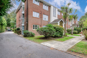 Communal Driveway/Grounds- click for photo gallery